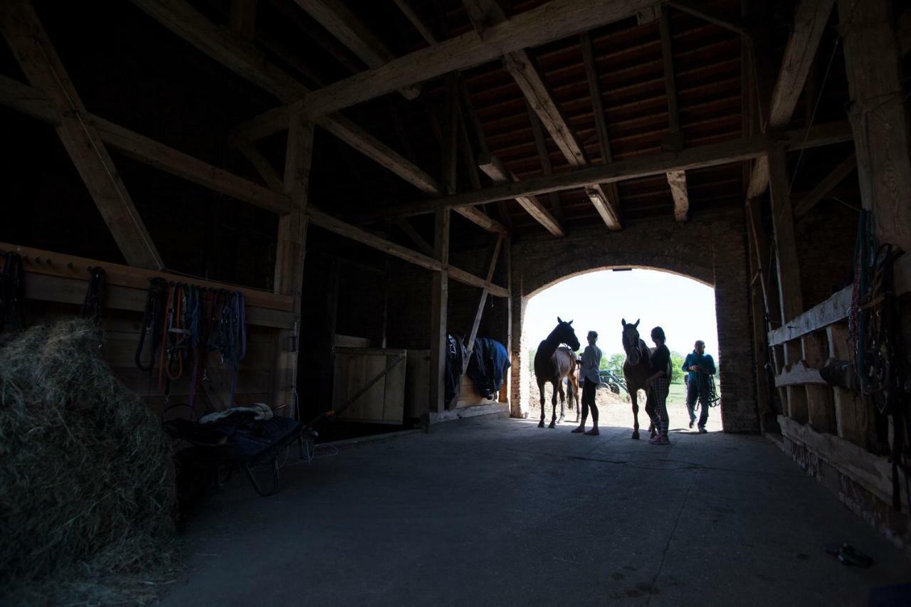 Vila Lehnschulzenhof Viesen Rogasen Exteriér fotografie