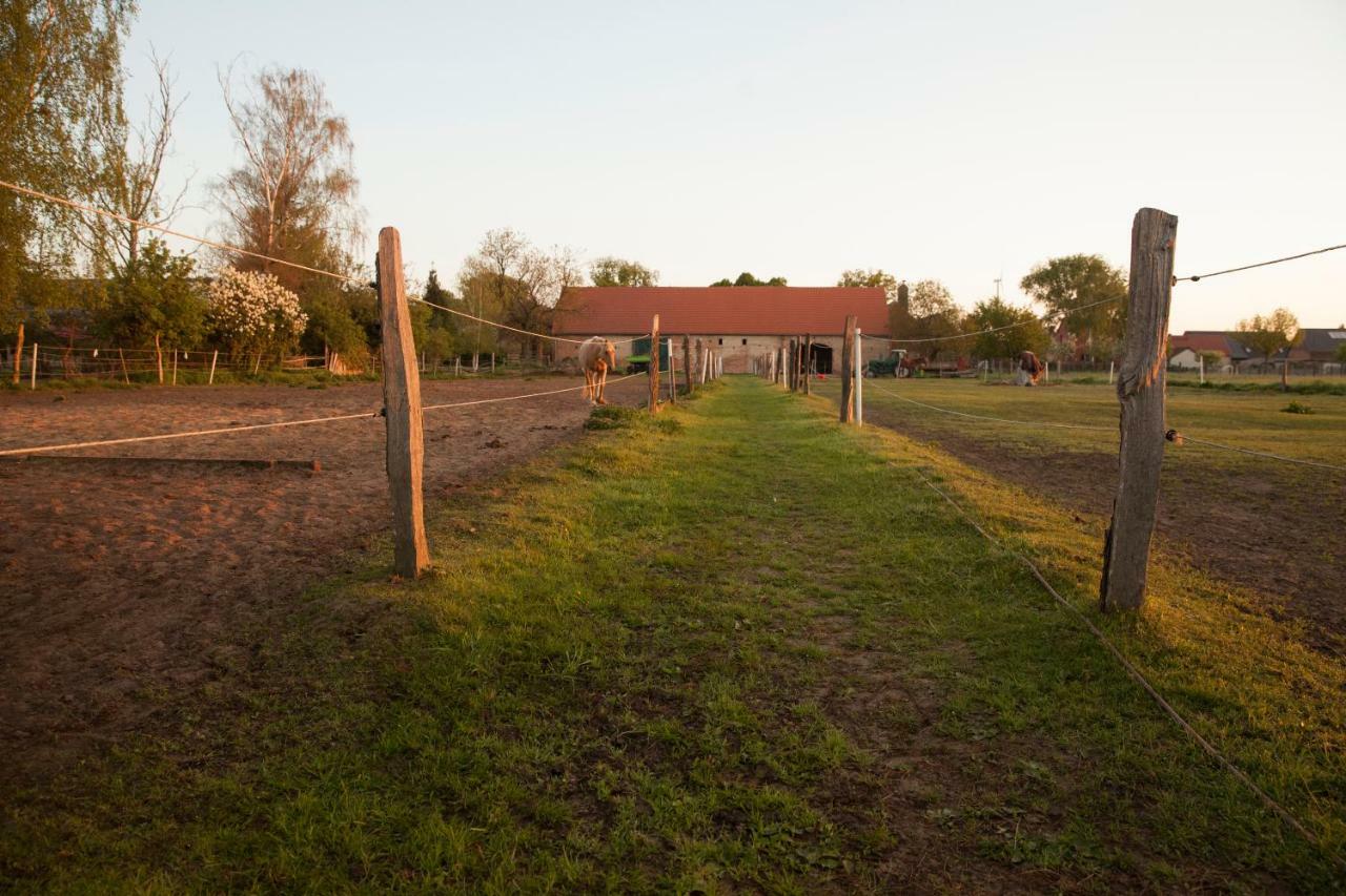 Vila Lehnschulzenhof Viesen Rogasen Exteriér fotografie