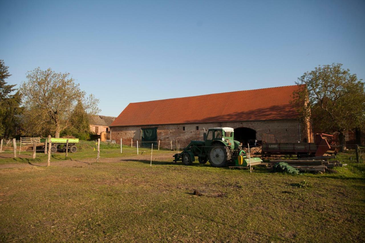 Vila Lehnschulzenhof Viesen Rogasen Exteriér fotografie