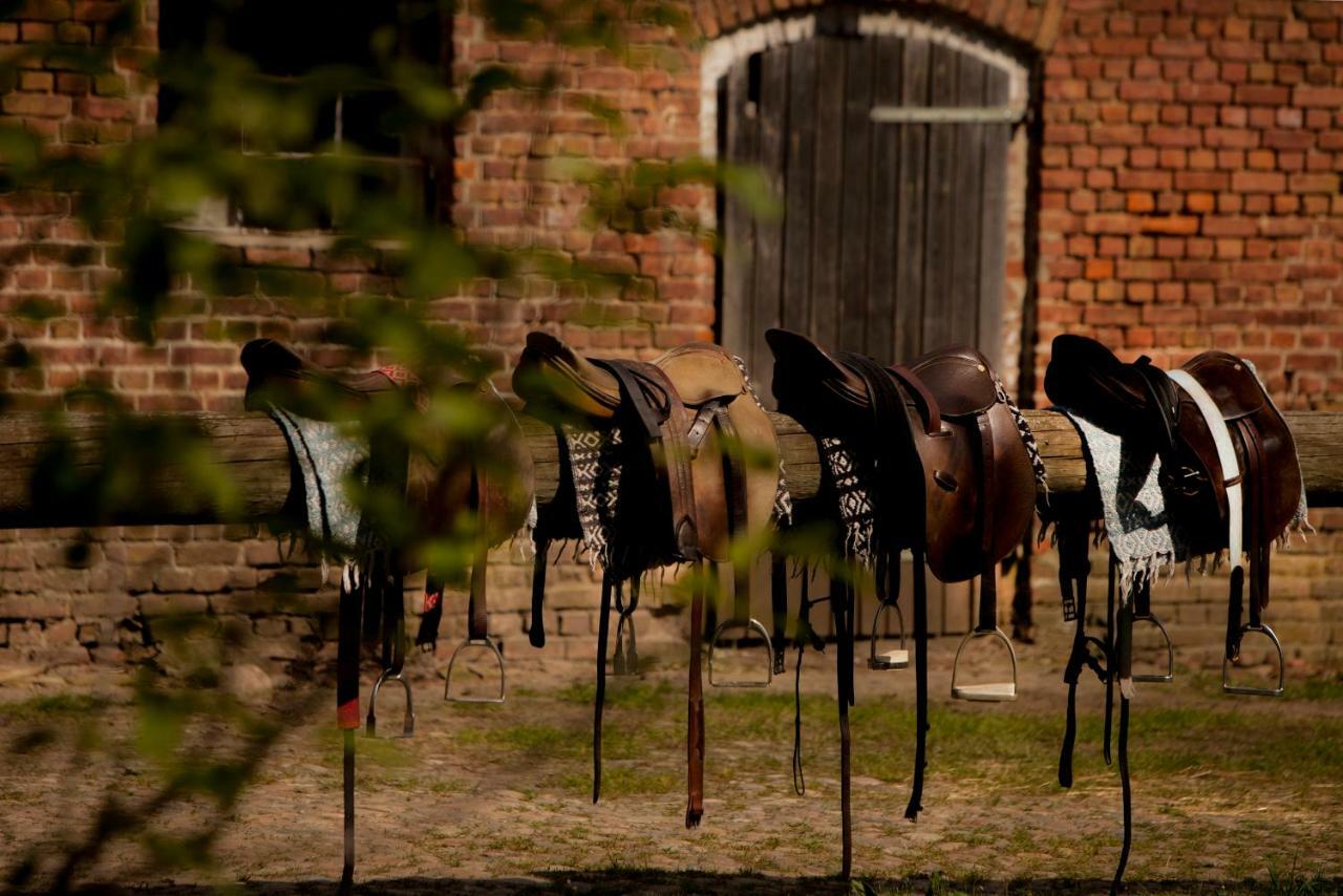 Vila Lehnschulzenhof Viesen Rogasen Exteriér fotografie